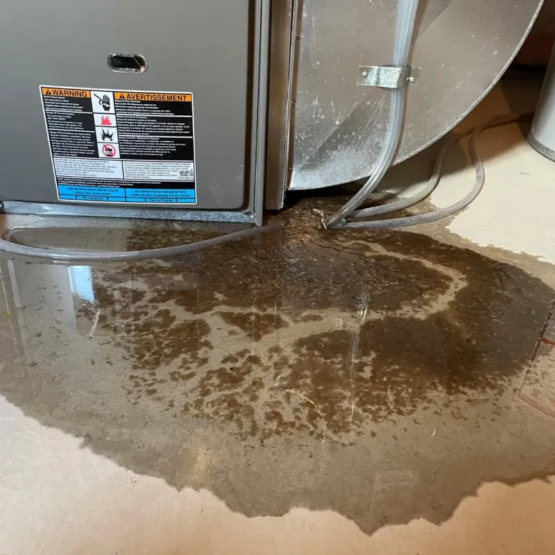 Appliance Leak Cleanup in Delta County, TX